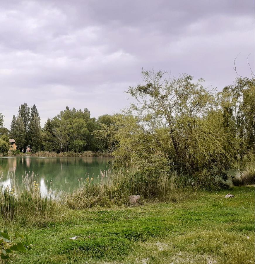 Studio 24 M2 - Hameaux De Camargue - Village 9 - 13200 ארל מראה חיצוני תמונה