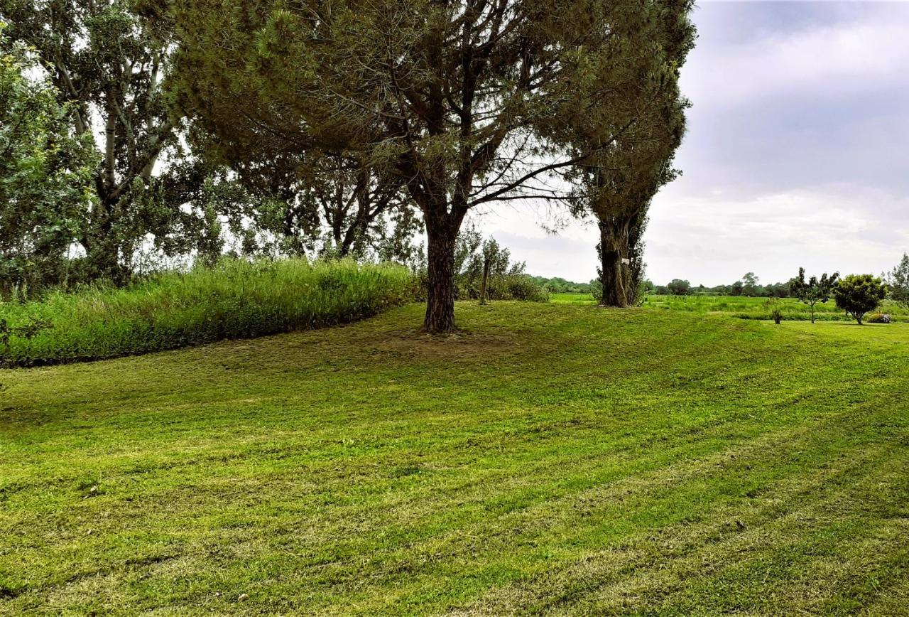 Studio 24 M2 - Hameaux De Camargue - Village 9 - 13200 ארל מראה חיצוני תמונה